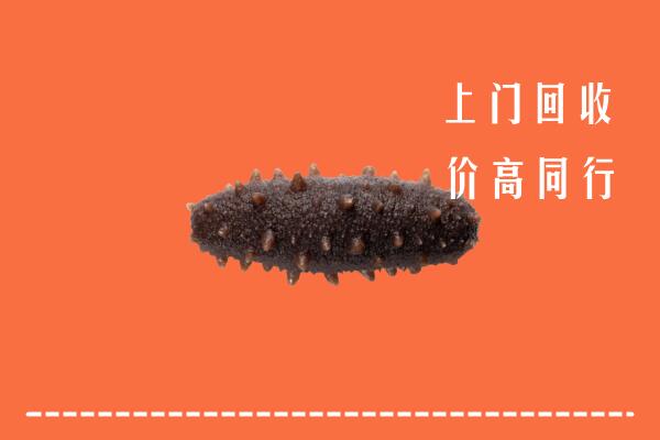 涞水县回收海参