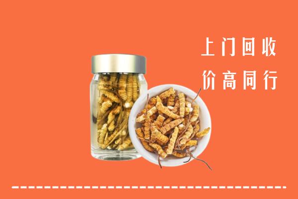 涞水县回收冬虫夏草